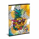 Caiet Lux, A5, 52 de file, dictando, diverse modele