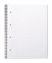 Caiet cu spira A4+ Rhodiactive, 80 file, matematica, reciclat, indosariere, negru