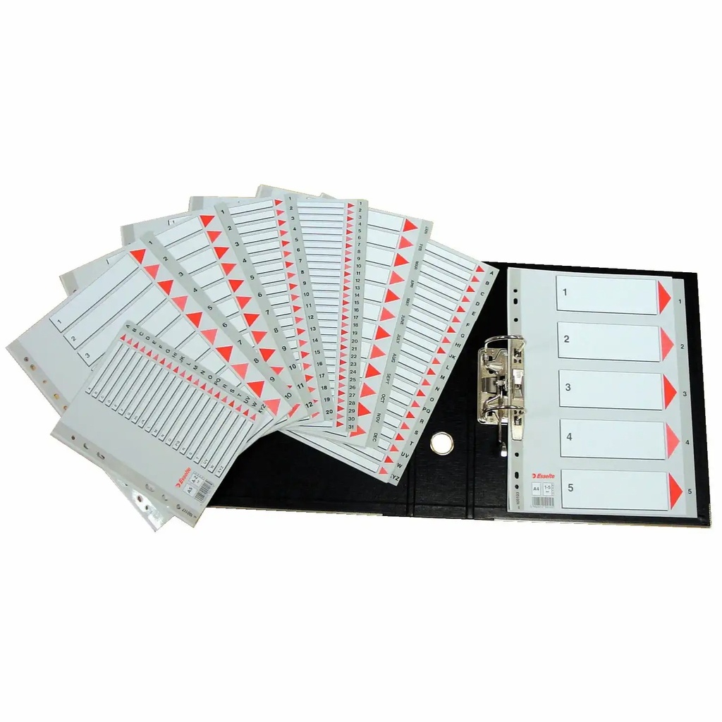 Index din plastic Esselte, A4, index 1-31
