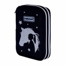 Penar scolar Astra, 2 compartimente, colectia Silver Dream - Organizare eficienta si eleganta in scoala