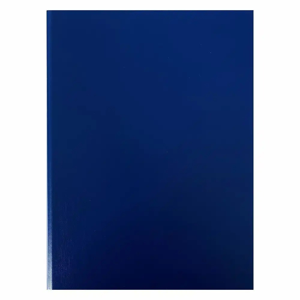 Clipboard ProDivers dublu A4 albastru, rezistent, mecanism nichelat, aspect profesional