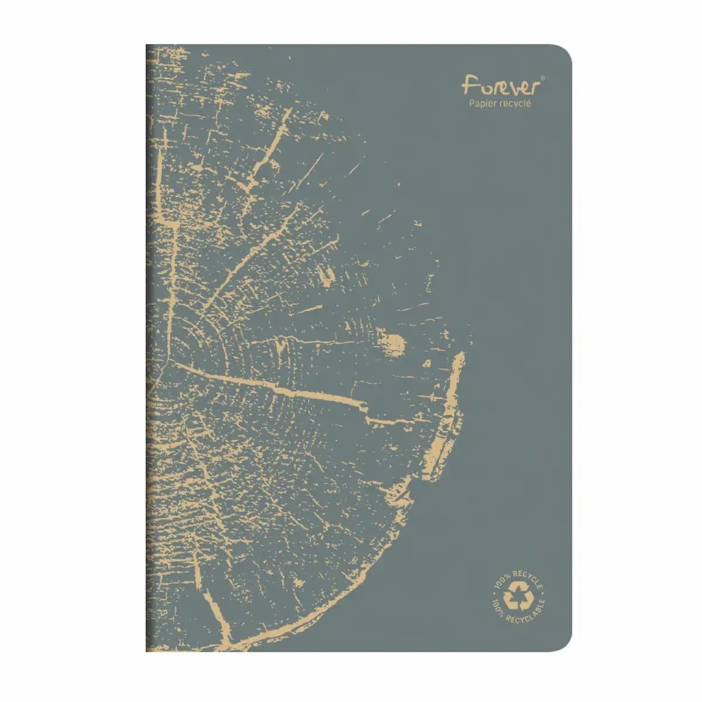 Caiet capsat A4 Forever Clairefontaine, 48 file, hartie reciclata, gri - Produs ecologic pentru notite si desene