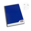 Registru A4 dictando, 192 file, albastru, coperta din carton rigid, pentru evidenta clara si organizata