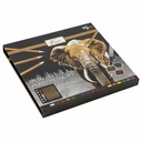 Set pictura Nassau Fine Art, 19 piese, culori metalice acuarela si creioane colorate