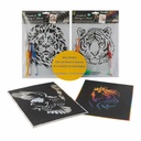 Set Creative Craft, de colorat cu 2 planse tematice de animale si 4 pixuri cu gel,  activitate educativa si distractiva