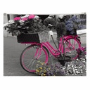 Buzunar plastic cu fermoar, A4, design Bicicleta, rezistent si durabil