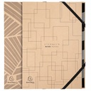 Mapa carton Exacompta Eterneco, 9 separatoare, A4