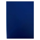 Clipboard ProDivers dublu A4 albastru, rezistent, mecanism nichelat, aspect profesional